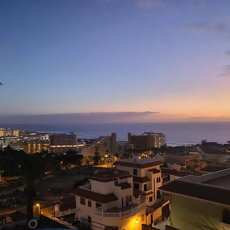 Tucan Next To Siam Park Costa Adeje (Tenerife)