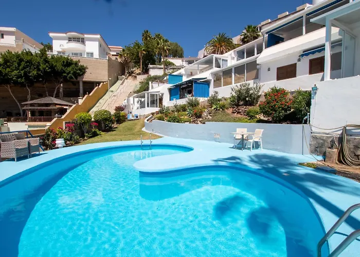 Tucan Next To Siam Park Costa Adeje (Tenerife)